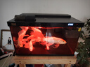 森森金麟超白玻璃魚(yú)缸一體缸自循環(huán)客廳小型家用水族箱LE-480B 曬單實(shí)拍圖