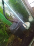 創(chuàng  )星魚(yú)缸潛水泵水族魚(yú)缸循環(huán)過(guò)濾抽水泵AT 304 305增氧家用AT105水泵 創(chuàng  )星AT302S+水管一米 曬單實(shí)拍圖