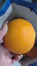 城南堡花四川大涼山愛媛38號果凍橙 新鮮橙子水果柑橘現(xiàn)摘 精品大果凈果4.5斤（70-75mm） 曬單實拍圖