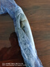 青島大鲅魚(yú)新鮮冷凍無(wú)冰馬鮫魚(yú)燕鲅魚(yú)海鮮水產(chǎn)海魚(yú)生鮮5斤順豐 5斤【5-6條】8兩-1斤/條 曬單實(shí)拍圖