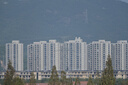 尼康（Nikon）【價(jià)保11.11】Z 28-400mm f/4-8 VR 全畫幅 高倍變焦 運(yùn)動(dòng) 動(dòng)物 美食 便攜微單鏡頭 曬單實(shí)拍圖