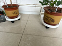 綠盼 綠盼綠植盆栽可移動(dòng)花盆底座托盤(pán)帶萬(wàn)向滑輪圓形轱轆結實(shí)45# 曬單實(shí)拍圖