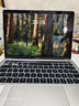 蘋(píng)果（Apple） MacBook Pro/Air 二手蘋(píng)果筆記本電腦 商務(wù) 辦公 游戲 設計 剪輯 99新20款P42灰/銀機皇i7-16G/512G 曬單實(shí)拍圖