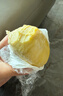 泰蓮小貓泰國進(jìn)口冷凍金枕頭榴蓮肉樹(shù)上自然熟400g/盒*4 共3.2斤400g*4盒 曬單實(shí)拍圖