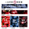 素坊（Sofine）每日莓果 混合多種水果草莓藍莓桑葚車(chē)里子 冷凍拌酸奶漿果 90g 曬單實(shí)拍圖
