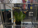 京業(yè)魚(yú)缸多功能過(guò)濾器JY-003F款6W 增氧循環(huán)水泵魚(yú)缸過(guò)濾吸便帶雨淋器 曬單實(shí)拍圖