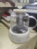 小質(zhì)養生壺1.5L全玻璃花茶壺0膠水0金屬恒溫煮茶器辦公室熱牛奶神器保溫壺家用燒水壺電熱水壺YSH12A 曬單實(shí)拍圖