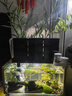 boxtech魚缸過濾器滴流盒魚池水族箱上過濾滴流槽三合一過濾器頂濾上濾盒 【套餐】滴流盒3層9盒+22W水泵+濾材+棉 曬單實(shí)拍圖
