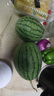現(xiàn)摘現(xiàn)發(fā)2k西瓜當(dāng)季手剝薄皮小糖丸西瓜新鮮水果冰糖子小西瓜 4-5斤（1-2個(gè)） 曬單實(shí)拍圖