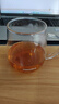 Glasslock 玻璃茶杯男女士專用茶水分離泡茶耐高溫杯子過濾花茶杯500ml 曬單實拍圖