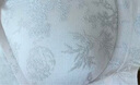 都市麗人內衣女浮雕新中式國風(fēng)提花文胸無(wú)鋼圈聚攏無(wú)痕裸感親膚文胸罩 天青色 L 【80ABC】推薦110-125斤 曬單實(shí)拍圖