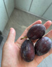 庾豐當季新鮮現摘脆紅李 新鮮水果整箱 孕婦脫骨青紅李子 團購送禮 5斤裝（凈果4.5斤）甄選果 顆顆甄選 產(chǎn)地直發(fā) 曬單實(shí)拍圖