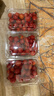 基地直發(fā)新鮮當季圣女果小番茄 3斤 曬單實(shí)拍圖