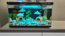 小米米家智能魚(yú)缸客廳小型造景生態(tài)家用背景超白玻璃桌面循環(huán)自動(dòng)喂食 小米智能魚(yú)缸+50W加熱棒+增氧泵 曬單實(shí)拍圖