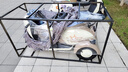 鳳凰（Phoenix）甲殼蟲(chóng)電動(dòng)三輪車(chē)家用小型老年代步電動(dòng)車(chē)電動(dòng)三輪老人休閑電瓶車(chē) 600W丨48V20A鉛酸+續航約40公里 曬單實(shí)拍圖