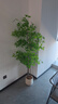 臨雅南天竹仿真綠植室內大型盆栽高端輕奢假花樹(shù)客廳仿生植物落地擺件 1.8米丨四桿南天竹+半圓形白盆 曬單實(shí)拍圖