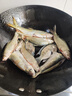 蓋世 冷凍魷魚(yú)須450g 燒烤火鍋食材 海鮮水產(chǎn) 二本足魷魚(yú)須 曬單實(shí)拍圖