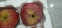 甜醉了 煙臺蘋(píng)果棲霞紅富士新鮮水果生鮮山東特產(chǎn)脆甜整箱平果禮盒禮品 紅富士?jì)糁?.5斤75-80mm 曬單實(shí)拍圖