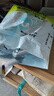 babycareAir pro拉拉褲夏季超薄軟弱透氣尿不濕寶寶尿片bbc嬰兒新生兒尿布 拉拉褲【XL】20片迷你裝 12-17KG 曬單實(shí)拍圖