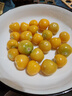 東北姑娘果新鮮當季水果黃菇娘燈籠果酸甜可口甜菇娘特產(chǎn)京東包郵 【帶箱3斤】東北姑娘果 曬單實(shí)拍圖
