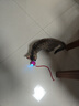 歡寵網(wǎng)貓玩具貓咪自動(dòng)逗貓球棒電動(dòng)自嗨神器自己玩解悶貓貓小貓幼貓寵物 曬單實(shí)拍圖