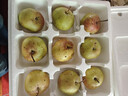 京覓 延吉延邊蘋果梨2025年新果9果4斤以上單果200g以上現(xiàn)摘源頭直發(fā) 曬單實(shí)拍圖