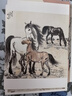 明信片《奔馬》徐悲鴻繪32張中國風(fēng)國畫(huà)大師畫(huà)集十二生肖藝術(shù)卡片手繪插畫(huà)簡(jiǎn)約清新文藝復古生日賀卡創(chuàng  )意禮物江蘇蘇超 蘇州 曬單實(shí)拍圖