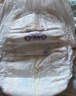奇莫Q-MO皇家至柔拉拉褲XXL40片(15kg以上)加大碼彈力褲尿不濕超薄 曬單實拍圖