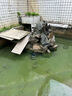老漁匠魚(yú)池循環(huán)過(guò)濾器水泵戶(hù)外假山流水噴泉抽水吸水不銹鋼大流量潛水泵 【新一代】200瓦流量每小時(shí)8000升5米揚程 池塘泵-直通式 曬單實(shí)拍圖
