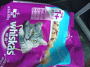 偉嘉（whiskas）貓糧 寵物成貓糧海洋魚味300g單包嘗鮮裝 曬單實拍圖