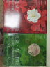 中國國家地理花朵與探險 瑪麗安娜·諾斯的藝術(shù)世界/旅行回憶 英國皇家植物園邱園官方授權 植物圖鑒科普讀物 攝影畫(huà)冊集圖書(shū) 花朵與探險兩冊套裝 曬單實(shí)拍圖