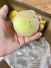 山東當季青州蜜桃新鮮脆甜可口毛桃冬桃產(chǎn)地直發(fā)-鮮集 青州蜜桃帶箱3斤（5-8顆） 曬單實(shí)拍圖