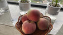 南步山東金秋紅蜜桃 脆桃毛桃紅心冬桃映霜紅脆甜寒露水蜜桃新鮮水果 4.5斤 精選中果【約11-12顆】 曬單實(shí)拍圖