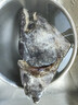 賣(mài)魚(yú)七郎 格陵蘭超大鰈魚(yú)頭1.5斤 深海鴉片魚(yú)頭比目魚(yú)頭海鮮水產(chǎn)魚(yú)類(lèi) 曬單實(shí)拍圖