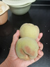 山東當季青州蜜桃新鮮脆甜可口毛桃冬桃產(chǎn)地直發(fā)-鮮集 青州蜜桃帶箱5斤 曬單實(shí)拍圖