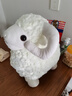 嘉百利毛絨玩具羊公仔兒童布娃娃小綿羊羊駝玩偶生日禮物送女友閨蜜情侶 白色嘟嘟羊 38cm 曬單實(shí)拍圖