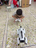 速動(dòng)力（RAPIDPOWER）deepseek機器狗智能AI機器人12兒童圣誕玩具6-10歲男孩十生日禮物 Deepseek+語(yǔ)音通話(huà)【AI對話(huà)+動(dòng)作編程】夾子款 曬單實(shí)拍圖