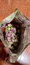 北京同仁堂胖東來(lái)品質(zhì)新疆和田玫瑰花茶頭茬玫瑰花干無(wú)硫無(wú)添加泡水大馬士革 優(yōu)質(zhì)和田玫瑰花茶 500克 曬單實(shí)拍圖