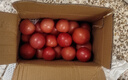 【超市精選】山東沙瓤水果西紅柿新鮮番茄蔬菜減肥單果100g起 西紅柿中大果 4斤 帶箱 曬單實(shí)拍圖
