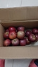 吉果叔 正宗大涼山丑蘋(píng)果 應當季時(shí)令新鮮水果四川冰糖心蘋(píng)果紅富士生鮮 凈重5斤 【迷你果】單果60-65mm 曬單實(shí)拍圖
