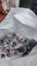 良品鋪子無(wú)添加風(fēng)干牛肉干500g 孕婦兒童即食肉干肉脯5成干休閑零食小包裝 曬單實(shí)拍圖