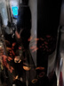 居元素泡酒罐高檔加厚耐熱玻璃密封泡酒容器實(shí)木蓋玻璃龍頭+實(shí)木底座 8L 曬單實(shí)拍圖