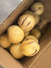 正宗云南人參果圓果樹(shù)上熟人生果新鮮水果當季孕婦新鮮大果整箱 特惠3斤裝【單果50-80g】?jì)糁?.5斤 曬單實(shí)拍圖