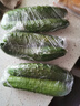 東北正宗旱黃瓜帶刺脆皮小青瓜新鮮蔬菜水果綠黃瓜單根≥90g 2斤 曬單實(shí)拍圖