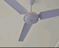 鉆石牌吊扇電風(fēng)扇家用客廳1.4米56吋樓頂扇工業(yè)大風(fēng)力吸頂電風(fēng)扇DS56-11I 曬單實(shí)拍圖