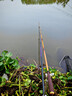 光威（GW）4.5米無(wú)法一本鯽本調鯽魚(yú)竿超輕超細魚(yú)竿手竿臺釣竿釣魚(yú)竿魚(yú)桿 曬單實(shí)拍圖