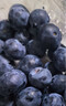 優(yōu)味集丹東藍莓應季孕婦寶寶時(shí)令水果新鮮遼寧高檔水果L25花香高山鮮果 凈重400g 精選4S果（12mm+）4盒 曬單實(shí)拍圖