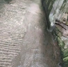 發(fā)科達 景觀(guān)水池青苔清除片1000g庭院噴泉地面去綠苔蘚水藻微生物清除劑 1000g*1瓶 曬單實(shí)拍圖