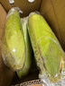 佳農寶菜山東新鮮水果玉米鮮嫩多汁健康輕食玉米4-6根4.5斤裝源頭直發(fā) 曬單實(shí)拍圖