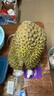 京鮮生 進(jìn)口金枕頭榴蓮 凈重6-7斤 1個(gè)裝  鮮果 生鮮 新鮮水果 曬單實(shí)拍圖